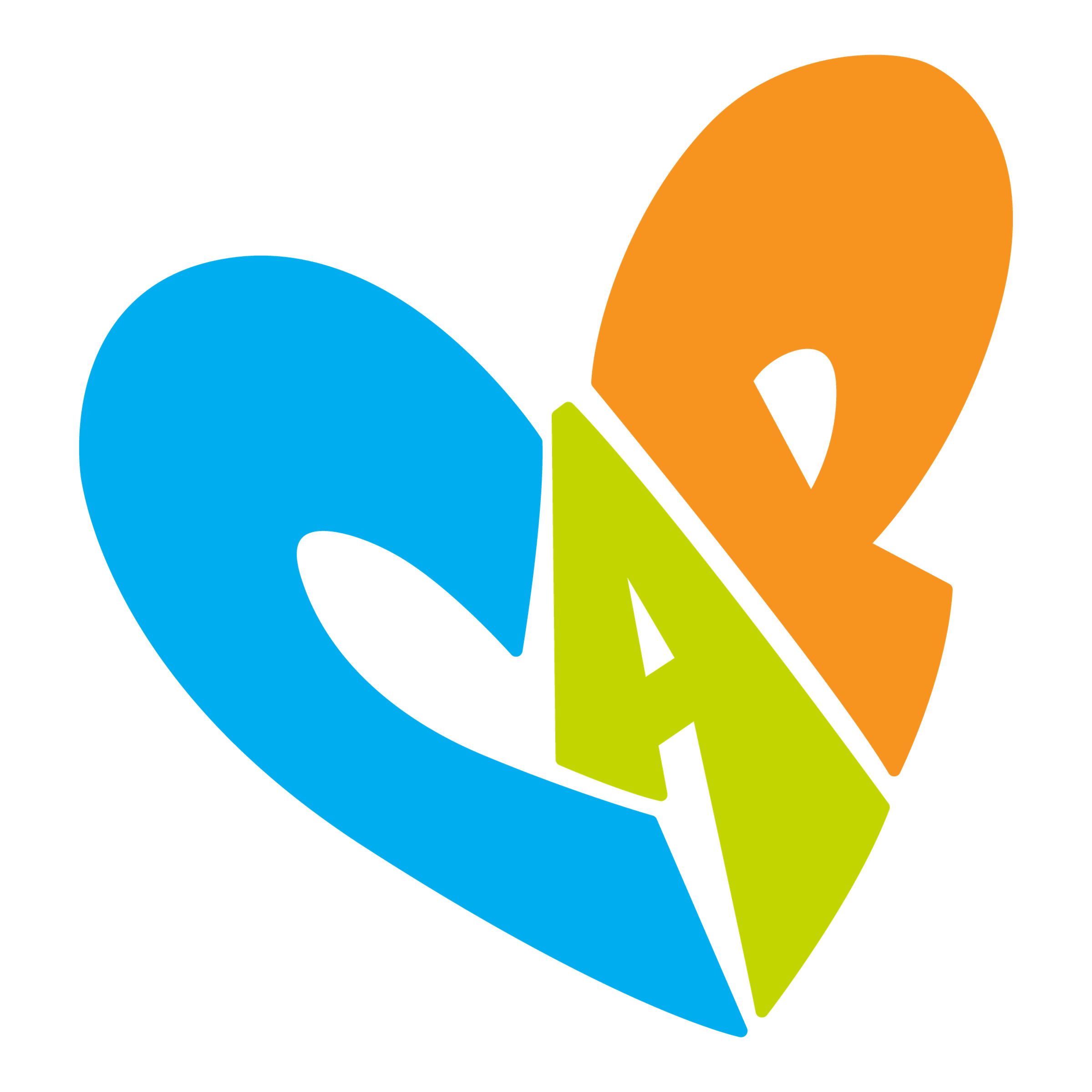 Fundación CAP